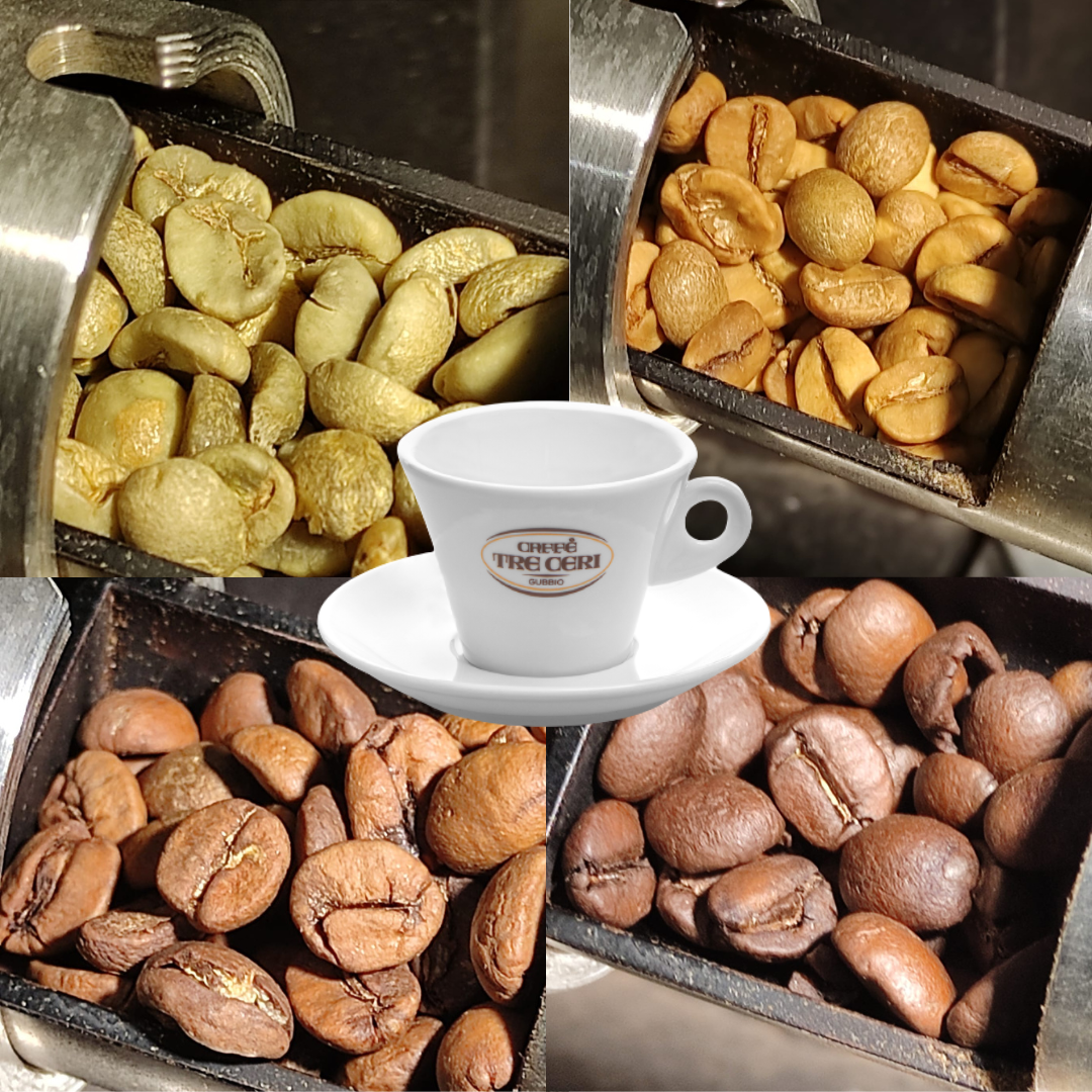 Armory of Coffee: Empat warna kopi